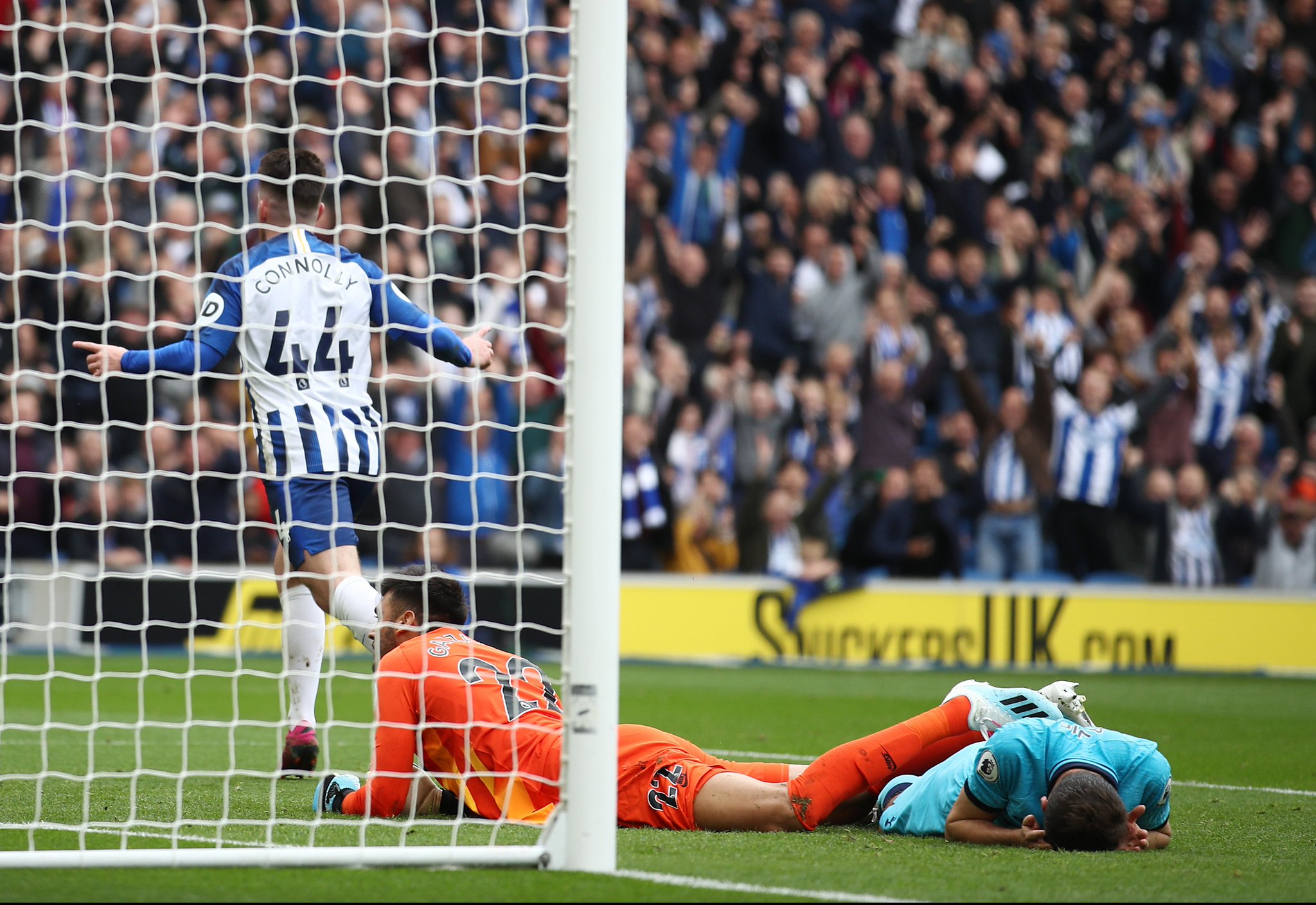 致以最高的 致以最高的