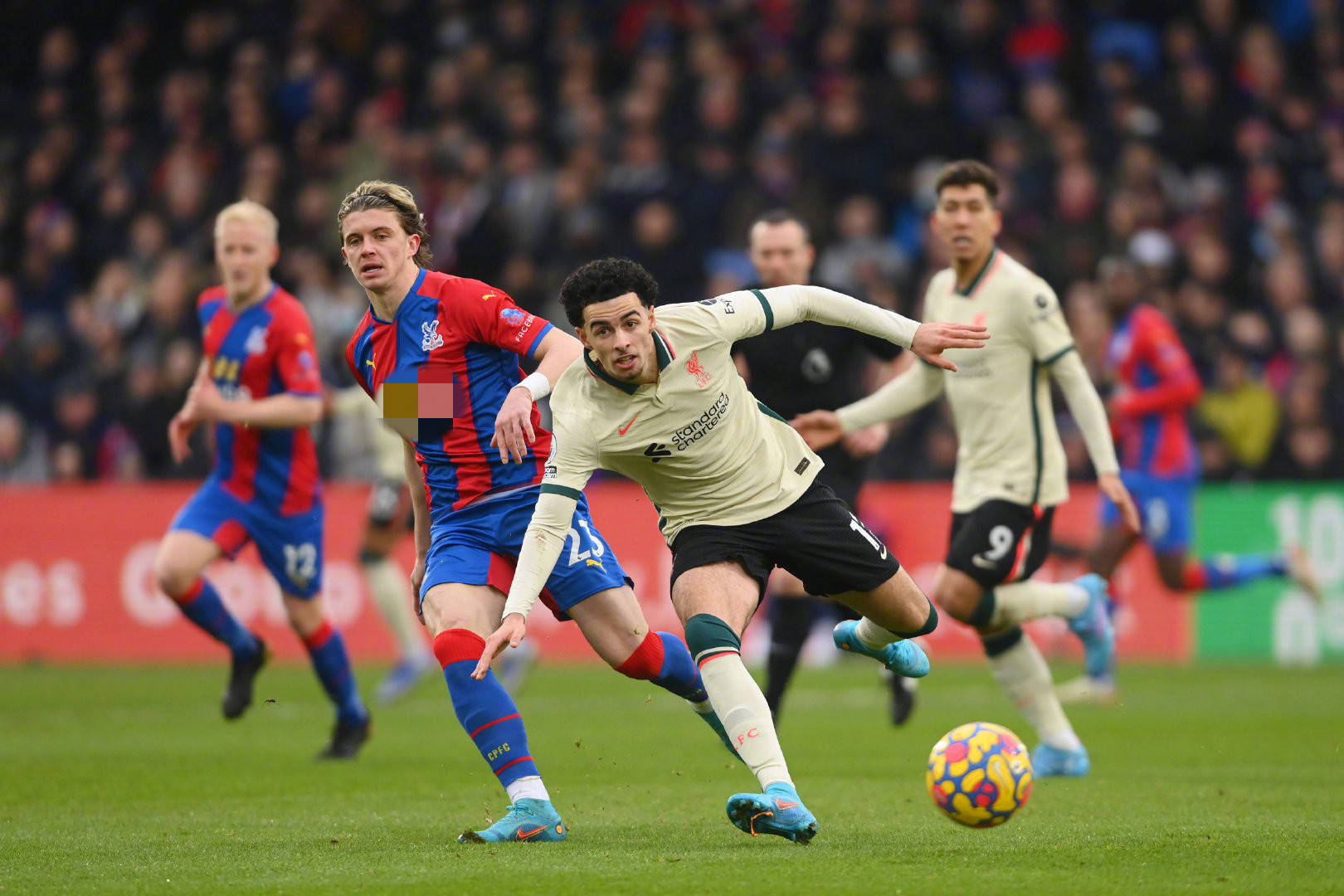 的动作舒适 的动作舒适